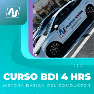 BDI Course – 4 Hours (Basic Driver Improvement)