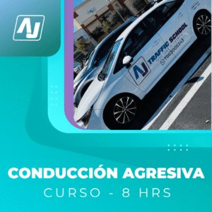 Aggressive Driving Course – 8 Hours