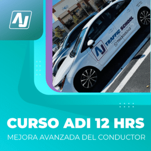 ADI Course – 12 Hours (Advanced Driver Improvement)