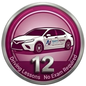 12 Driving Classes (no exam)