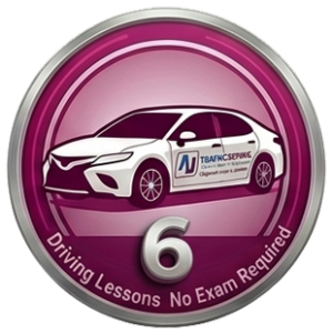 6 Driving Classes (no exam)