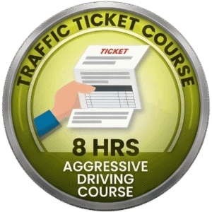 Aggressive Driving Course 8 hrs