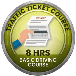 Basic Driving Course (8 hrs)